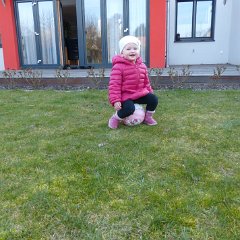 PIC 865